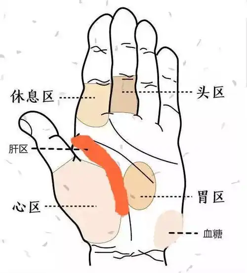 观手知病!快速辨识高血压,高血糖就这么看,五分钟学会!