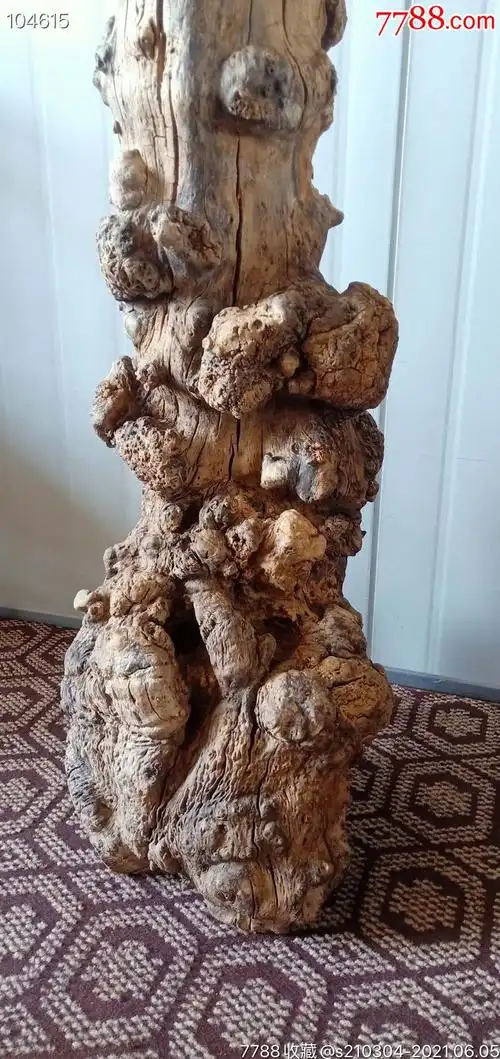 首页 零售 木雕摆件 >> 槐木满留疤树瘤风水柱_木