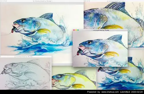 金属路亚鱼具插画