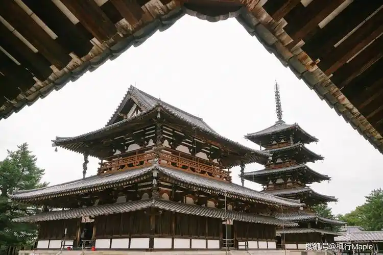 奈良,不只有会顶人的小鹿,还有世界上最古老木构建筑群_金堂_日本