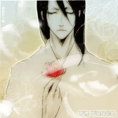 《死神》六番队队长朽木白哉