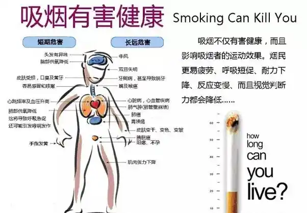 吸烟是这样危害脑血管的!