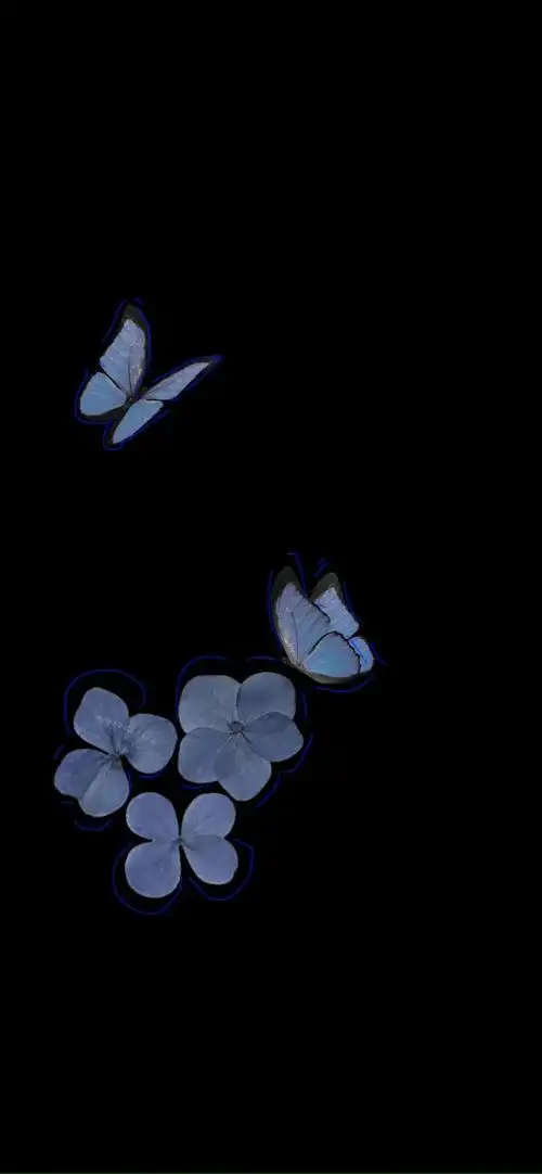 网易云主题壁纸