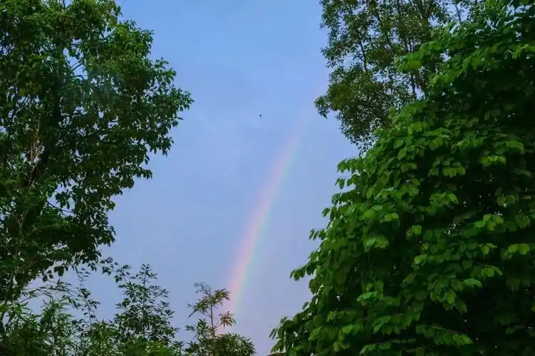 雨过天晴金堂惊现双彩虹