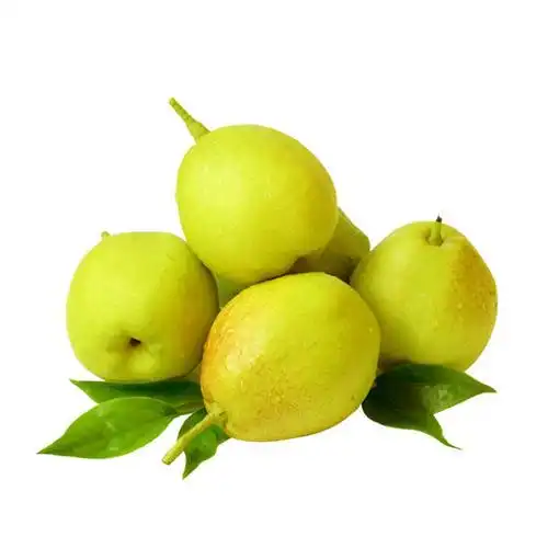 新疆库尔勒香梨全母梨101斤脆嫩香甜水果