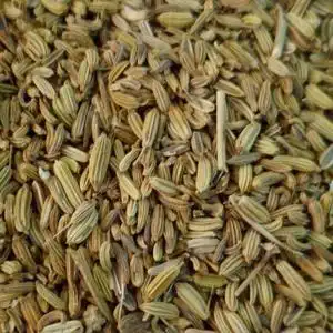 大茴香籽的功效与作用茴香籽的用处