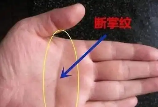 农村俗语:"男儿断掌千斤两,女子断掌过房养",是什么意思?_手机搜狐网