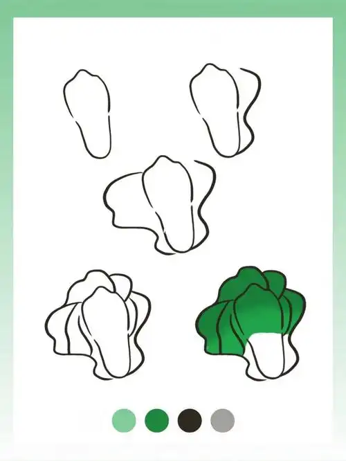 简笔画蔬菜大白菜