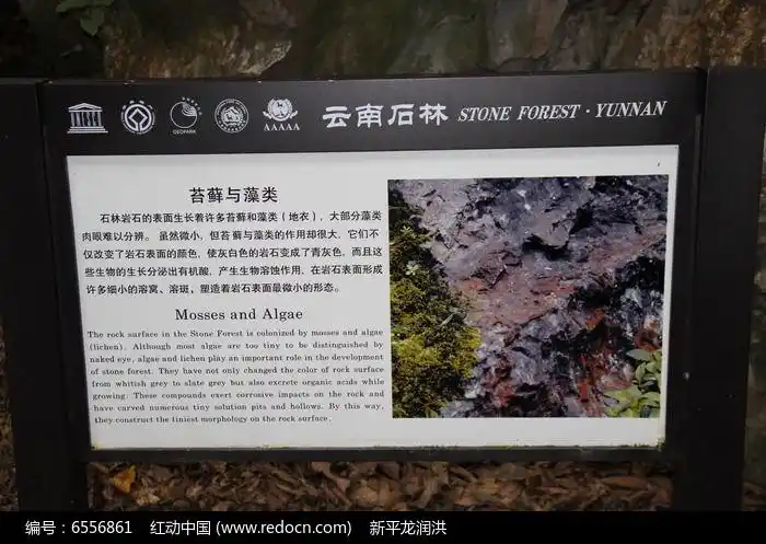 石林风景区有关苔藓与藻类的介绍牌
