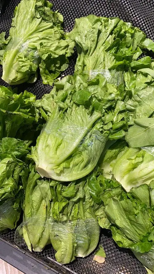 【已解决】春菜和生菜一样吗 可以生吃吗