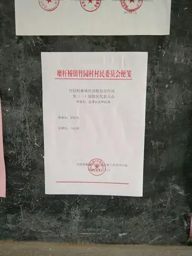 成立啦 写美篇第五项召开竹园村股份经济合作社董事会第一次会议,竹园