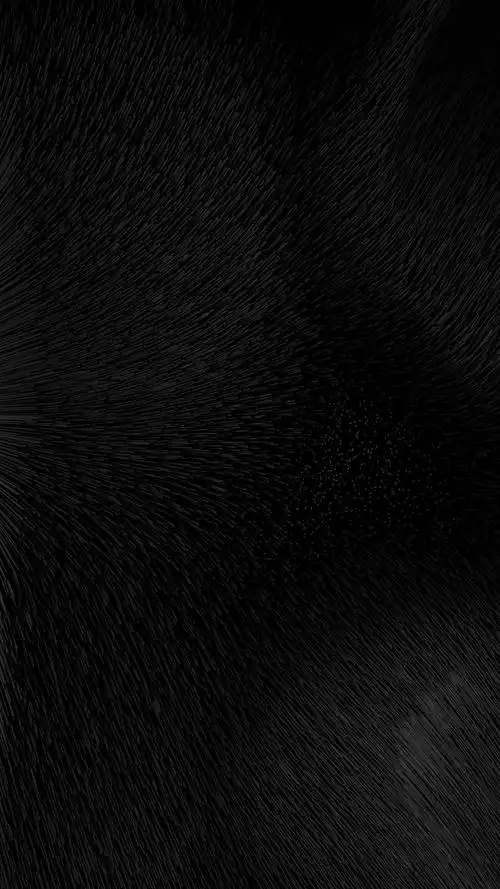 给黑色iphone的壁纸black