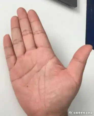 最容易成功的手型手分为五行:金木水火土;口诀为