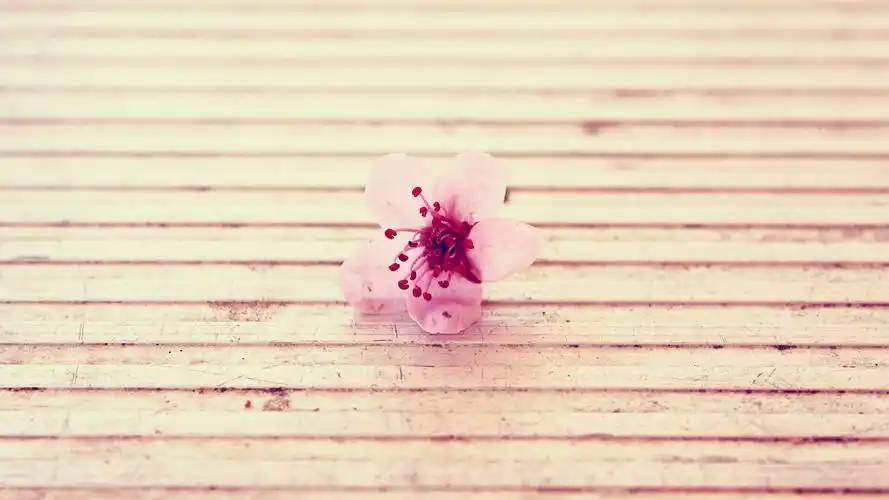 杭州朗阁告诉你出国一定要带的东西