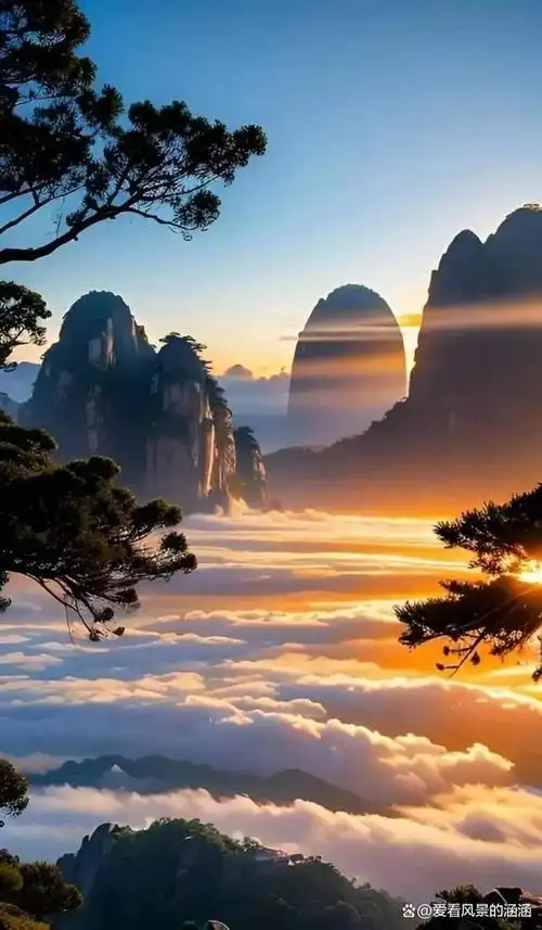 美图欣赏——仙境之上,黄山云海如梦如幻