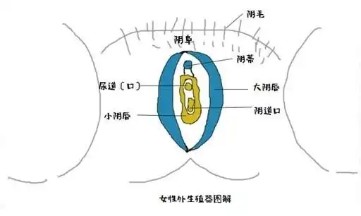 圈子-新氧美容整形