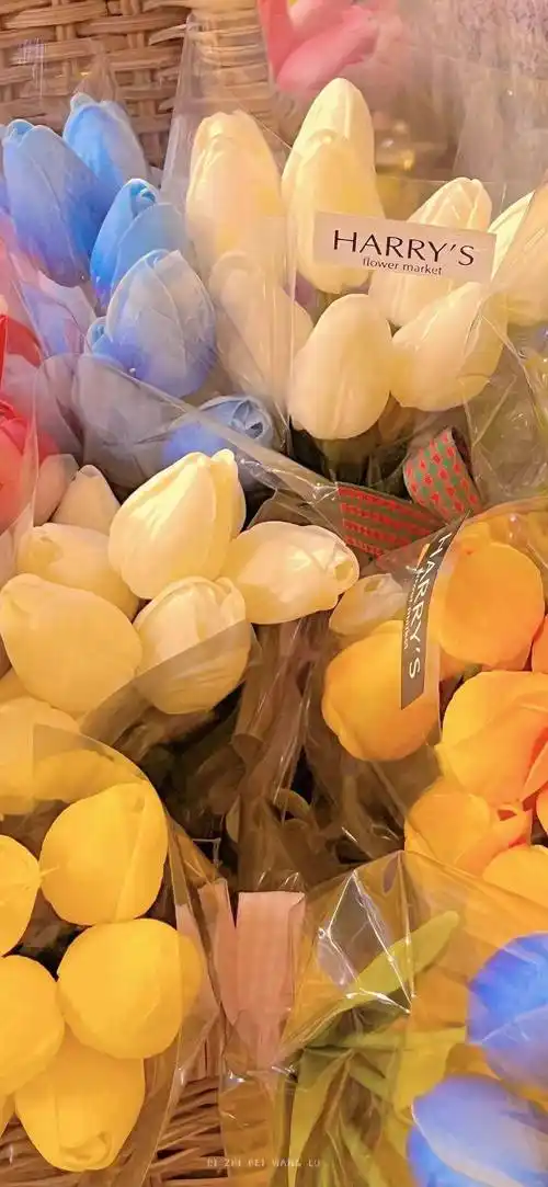 壁纸| 高级感满满的ins风壁纸