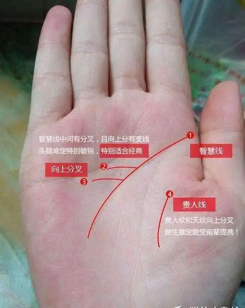 特别聪明的人有什么样的手相智慧线