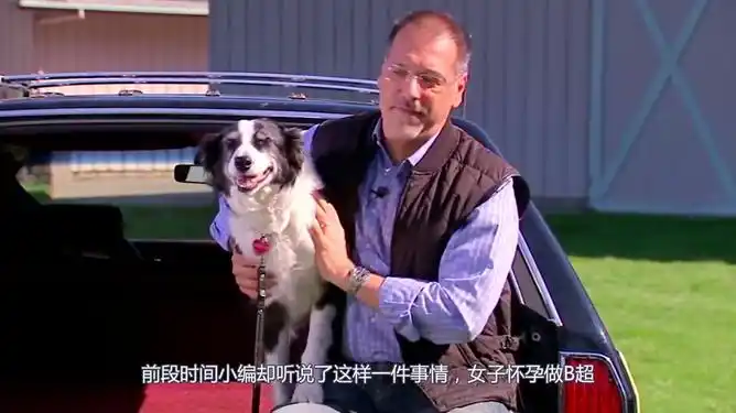 女子怀孕做b超肚子里竟有一条狗真相让人感动