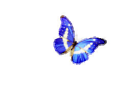 243_178gif 动态图 动图