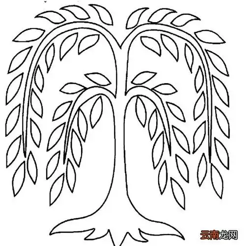 大树柳树3简笔画