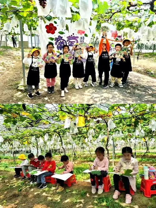 厦门遛娃丨葡萄藤下葡萄果葡萄架下你和我