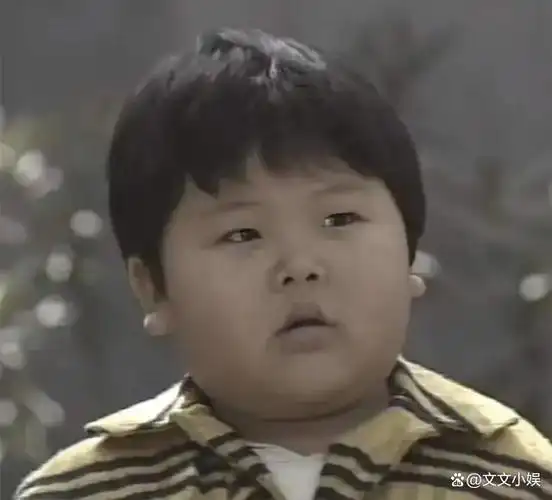 最火童星的近况,有的事业蒸蒸日上,有的因病去世令人唏嘘