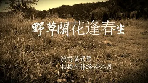 黄莺莺 野草闲花逢春生_moment.jpg