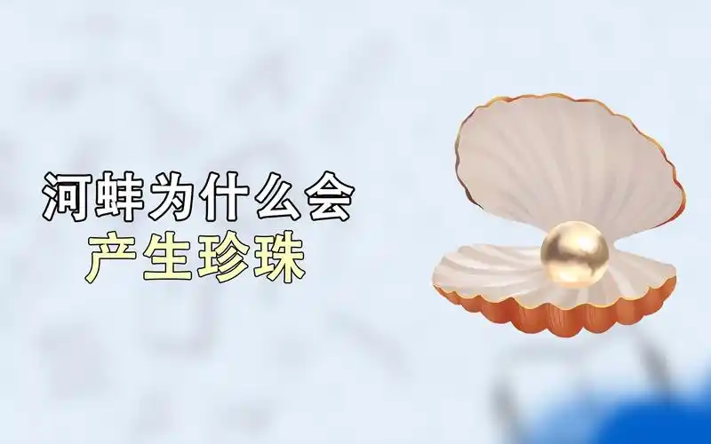 河蚌里的珍珠是怎么形成的你真的知道吗