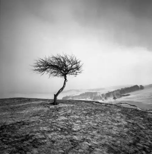 孤独 br /> 孤独的守望者