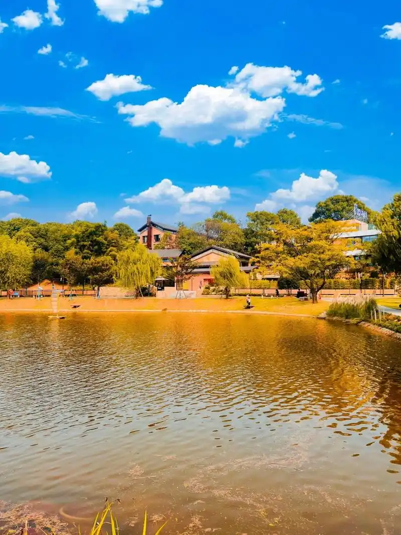 中秋节洞庭湖小镇美景 虽然今天很热,但是很开心.