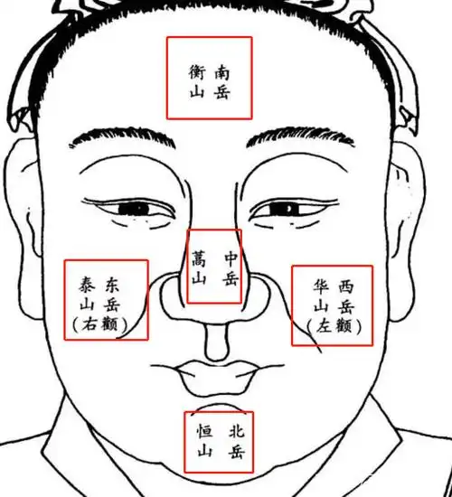 面相开运:你是什么脸型?如何正确修饰以提升面部规格?