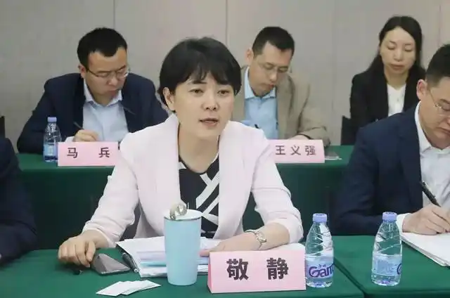 成都市副市长 敬静