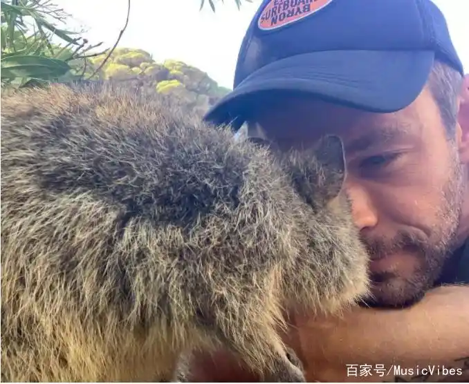 锤哥与短尾矮袋鼠亲密接触,锤哥说自己花了3周时间学习,最终取得了