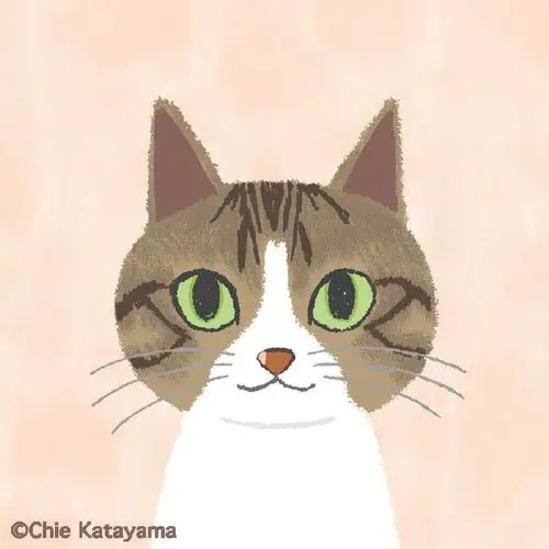 猫咪头像 喵～作者:日本插画师 chie katayama