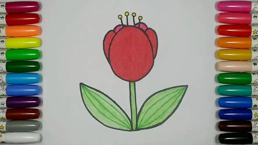 【儿童简笔画教程】画一朵美丽的郁金香:春日的芬芳!