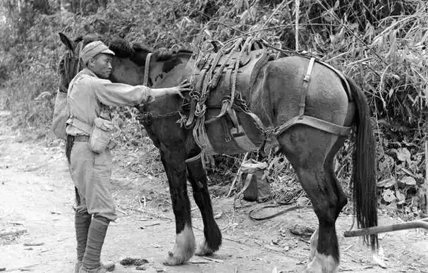 原创中原大战五指计划冯玉祥刚愎自用晋军众将为何却敢怒不敢言