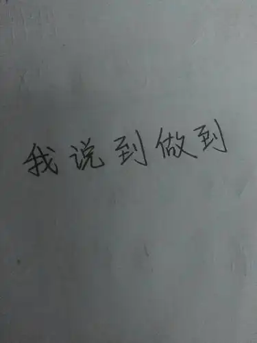 各位帮忙,写一个钢笔字,名字是:我说到做到
