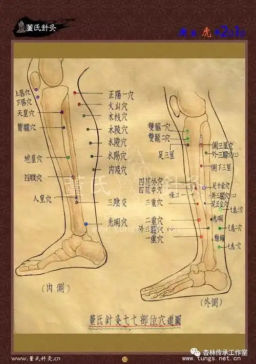 董氏奇穴特针赋及穴位图谱大全_肾关