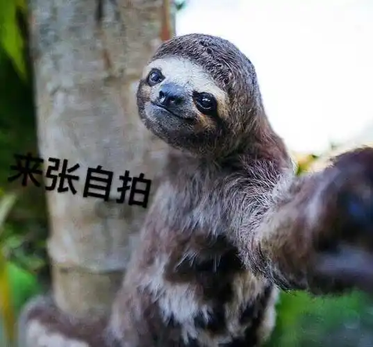 来张自拍