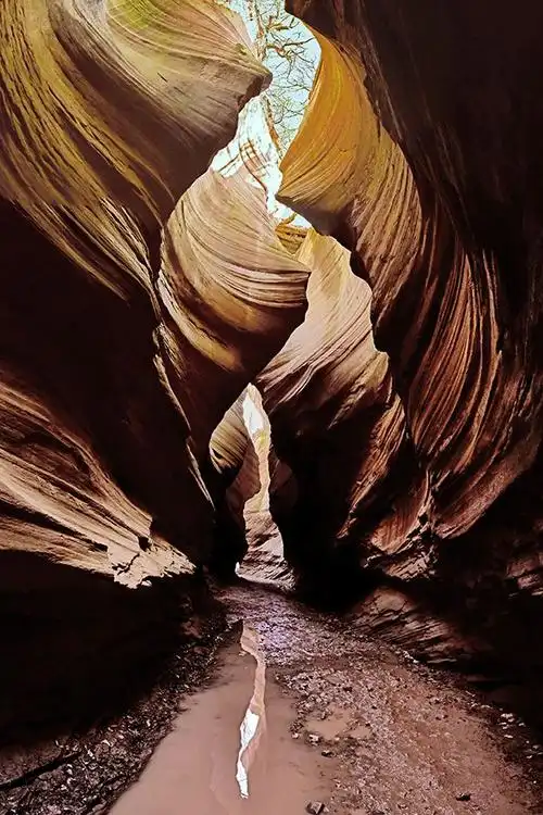 中国雨岔"大峡谷"的奇特景观(龙巴沟,桦树沟走马观花,花花景色)