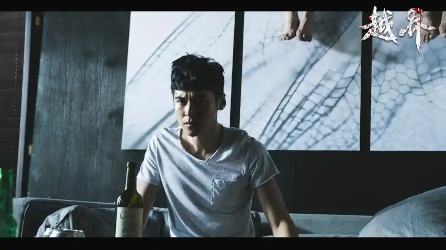 越界synesthete_电影介绍_评价_剧照_演员表_影评