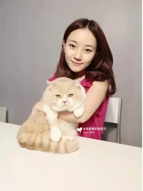 蝴蝶朗和焦俊艳