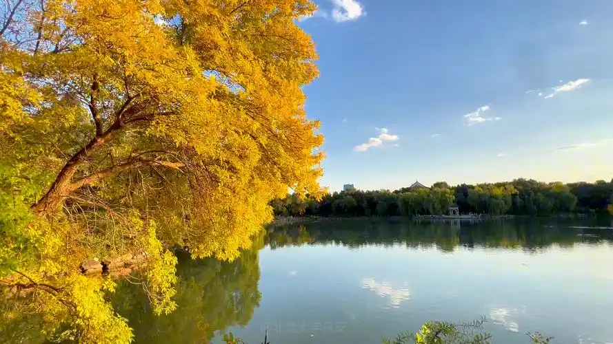 北京大学保安 「这里是北大」你可能错过的北大校园美景,保安都给你