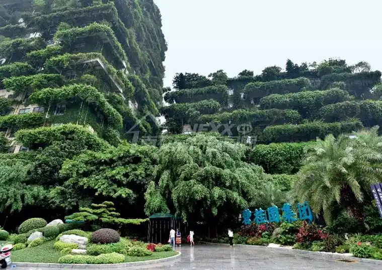 专访碧桂园杨国强懂得利益分享是成功第一要义