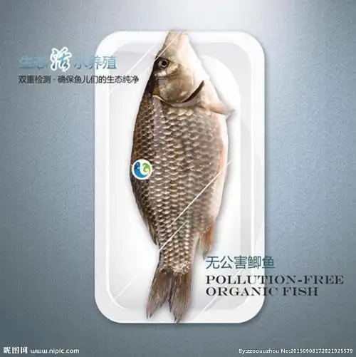 鲜活鱼设计图__海报设计_广告设计_设计图库_昵图网nipic.com