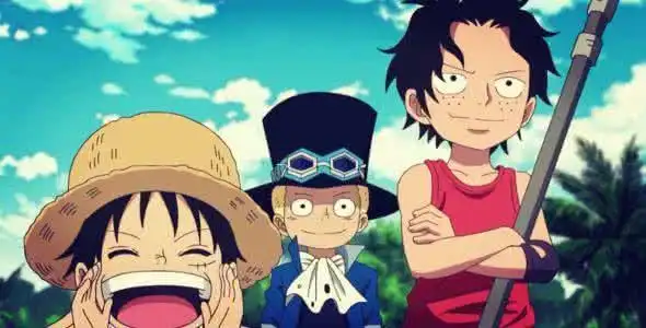 海贼王:艾斯,萨博,路飞三兄弟是如何看待卡普的?