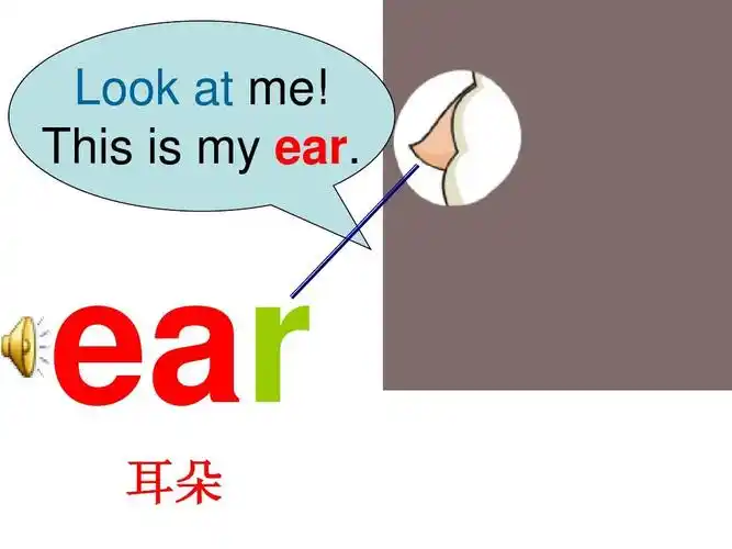 2012新版pep小学三年级英语上册unit3 look at me(第二课时)ppt