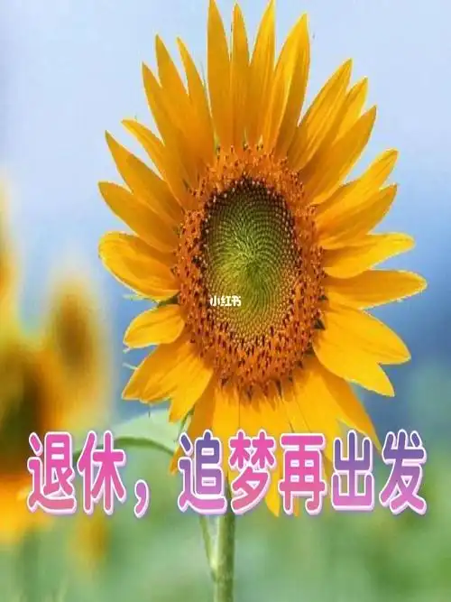 没退休的时候盼着退休,而真正退休了,过着优哉游哉,闲人野鹤的生活.