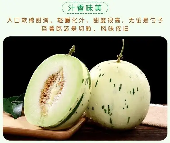 一路寻鲜山东海阳月露蜜瓜2个装净重45到5斤